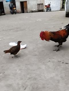 搞笑gif永远不要相信任何人,朋友圈gif背景搞笑