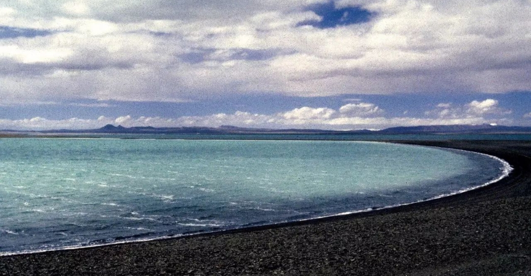 可可西里无人区为什么是人类禁区,去可可西里无人区死亡率