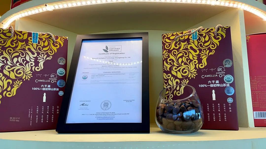 六千嵗携手广东壹号：一心一意打造优质品牌服务