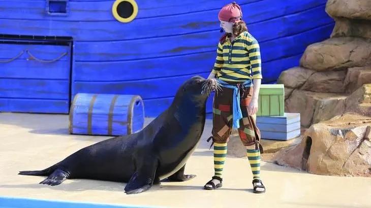 马鞍山市旅游惠民卡,马鞍山旅游卡活动