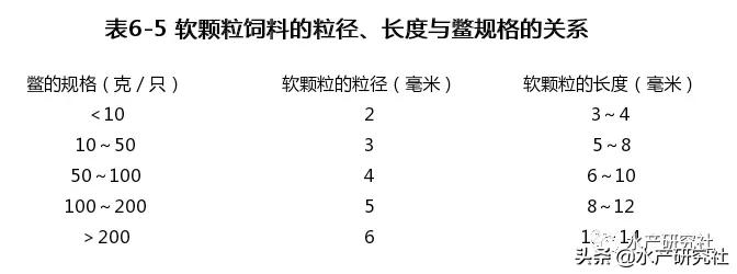 沙鳖和甲鱼哪个好养殖呢,甲鱼饲料养龟