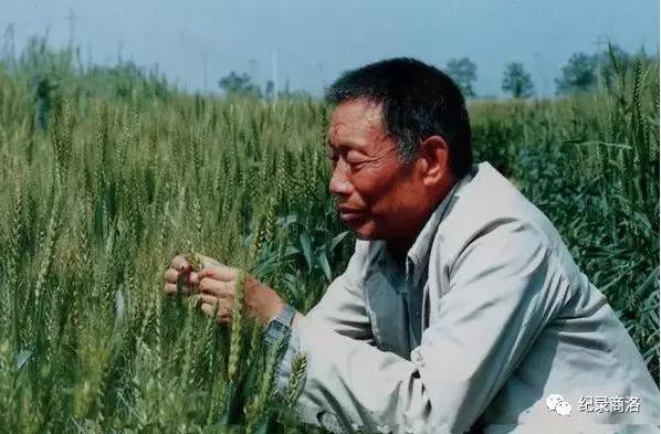 中科院院士屈化民,屈化民