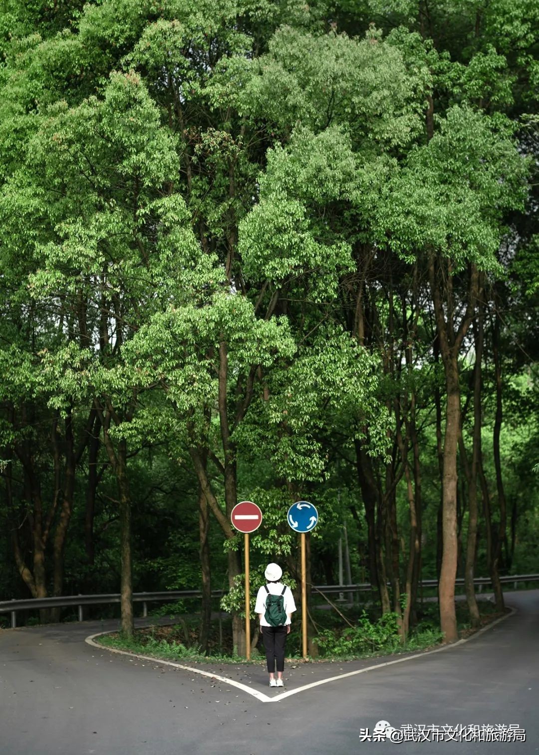 武汉环城绿道,武汉上半年全线贯通的新绿道