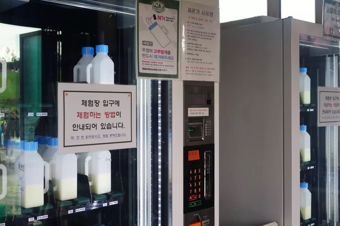 西安直飞1h,西安出发三日游冬季高铁