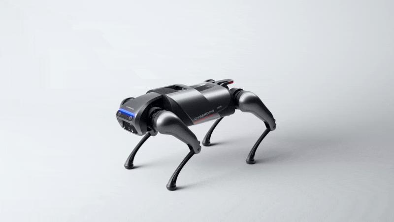 雷军铁蛋售价,雷军机器人铁蛋