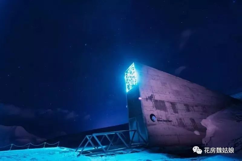 12月份旅游排行榜,12月份四川旅游攻略5日最佳线路