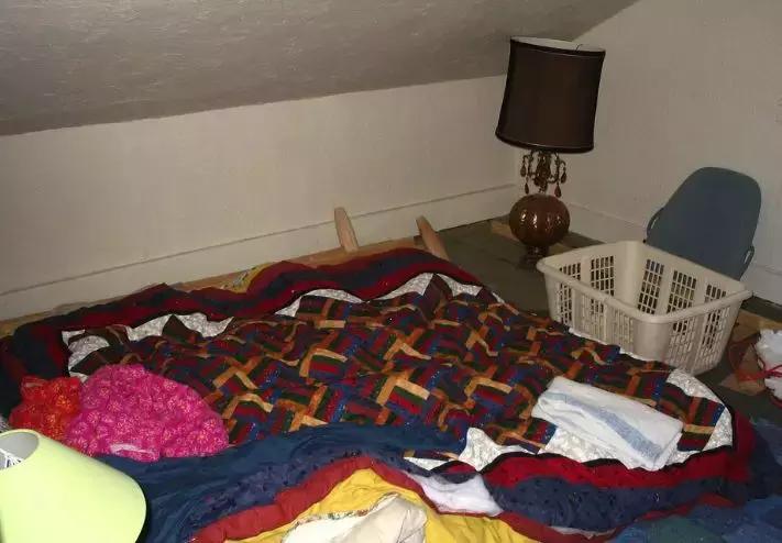 为了狗狗不被春节的鞭炮吓到,造汽车的福特公司造了一个狗窝