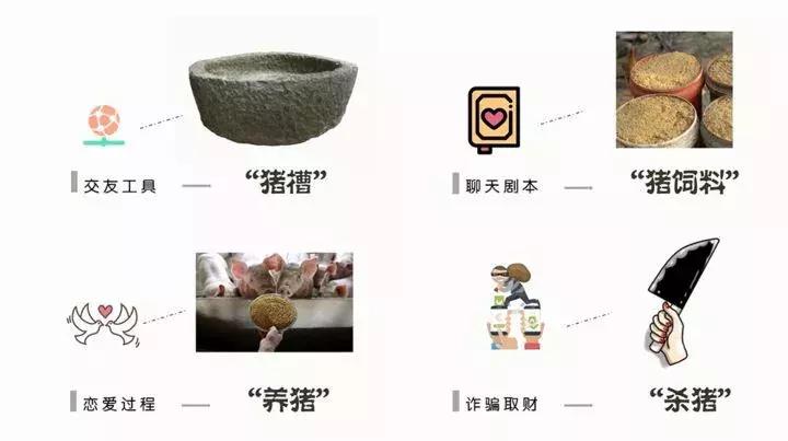 虫草姑娘卖茶被骗,虫草姑娘卖茶妹