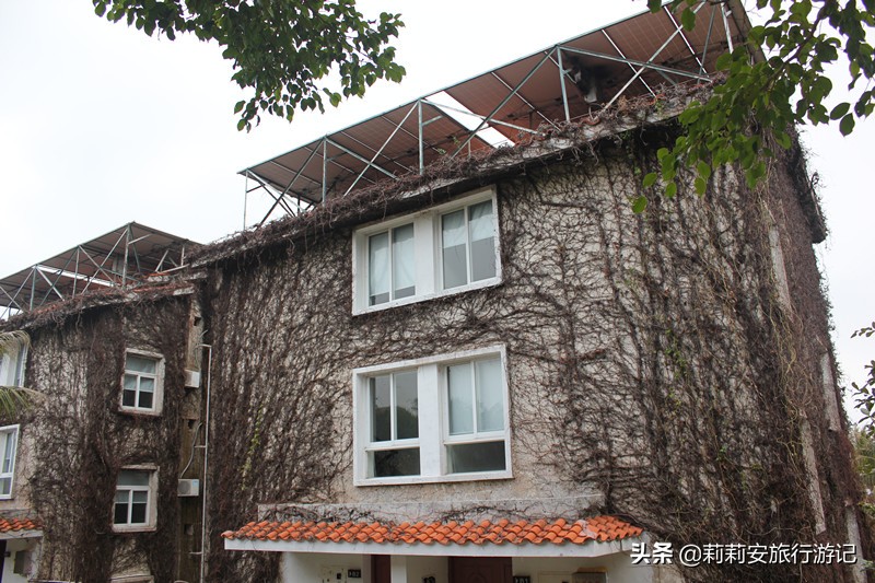 广东旅游海边巽寮湾,巽寮湾捕鱼体验景点