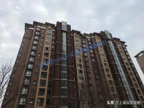 二梯队学校怎么样,二师附小梯队