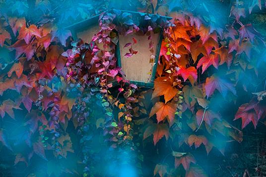 ps梦幻效果教程,ps合成童话主题及过程图