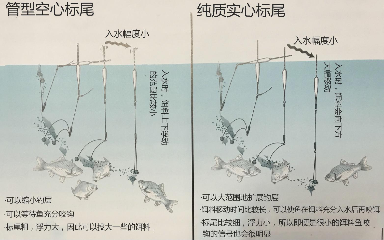 鲫鱼日本钓法,台钓鲫鱼日本