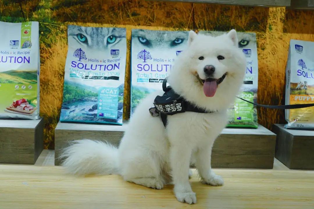 耐吉斯今年亚宠展上做了啥？挤都挤不进