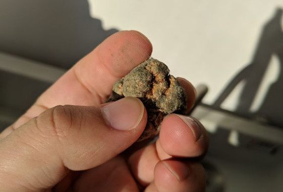 三七的不良影响,买的三七发霉了怎么办