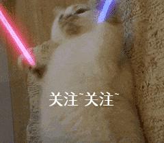 各品种狗狗价目表,各类狗狗的价格表一般是多少钱