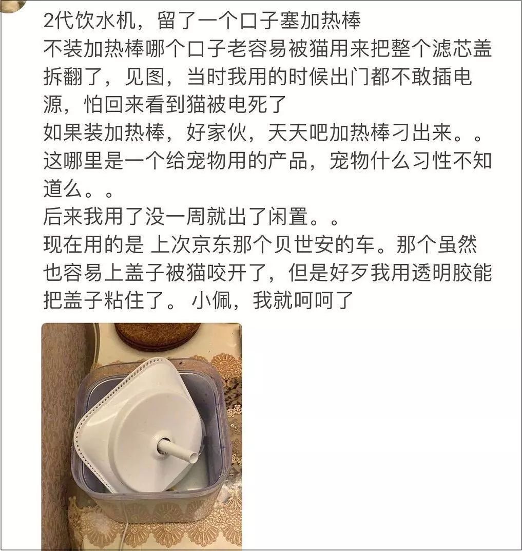小佩闷死猫后续,小佩猫窝现在还有吗