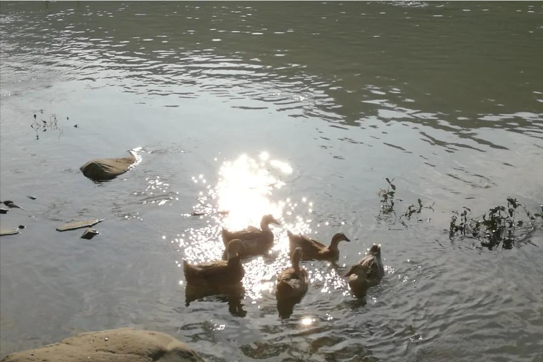 防晒隔离骨质疏松,防晒骨质疏松