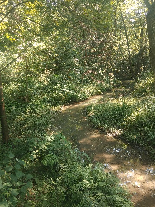 襄阳人苞谷味在臆想中的古隆中卧龙岗居于何地?