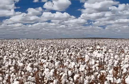 9个*疆新**棉家居工厂店，平价实用，品质不输国外大牌，值得收藏