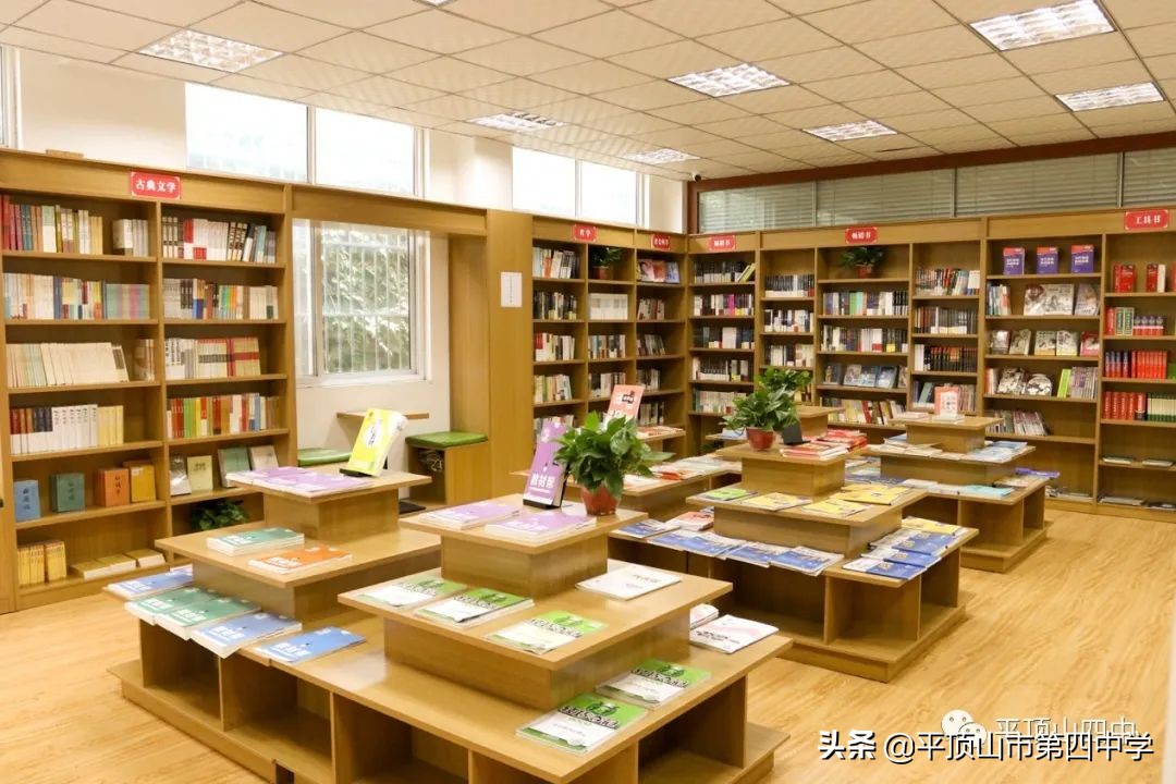 平顶山第四十六中学招生,平顶山实验中学2024招生简章