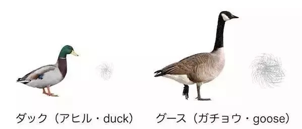 这个冬天很冷需要一件羽绒服,这个季节真的很需要羽绒服暖身