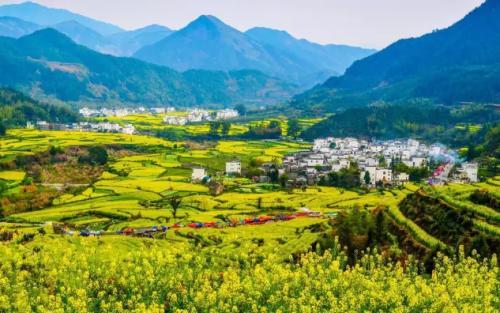 董明珠拒“开后门”，唯品会Gucci腰带是假｜奇扒说0407