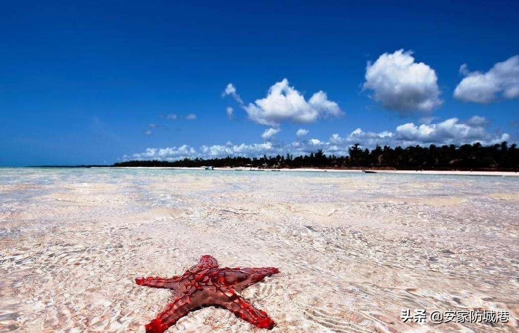 防城港免费的五大网红景点,防城港网红打卡地游最佳景点