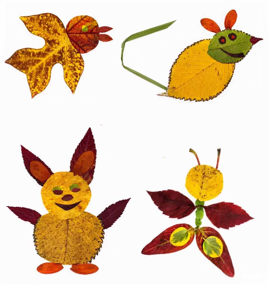 有多少种各种各样的小动物呢,用落叶做可爱的小动物