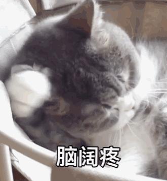 拍照不会笑表情不自然,拍照表情不自然后期能修么