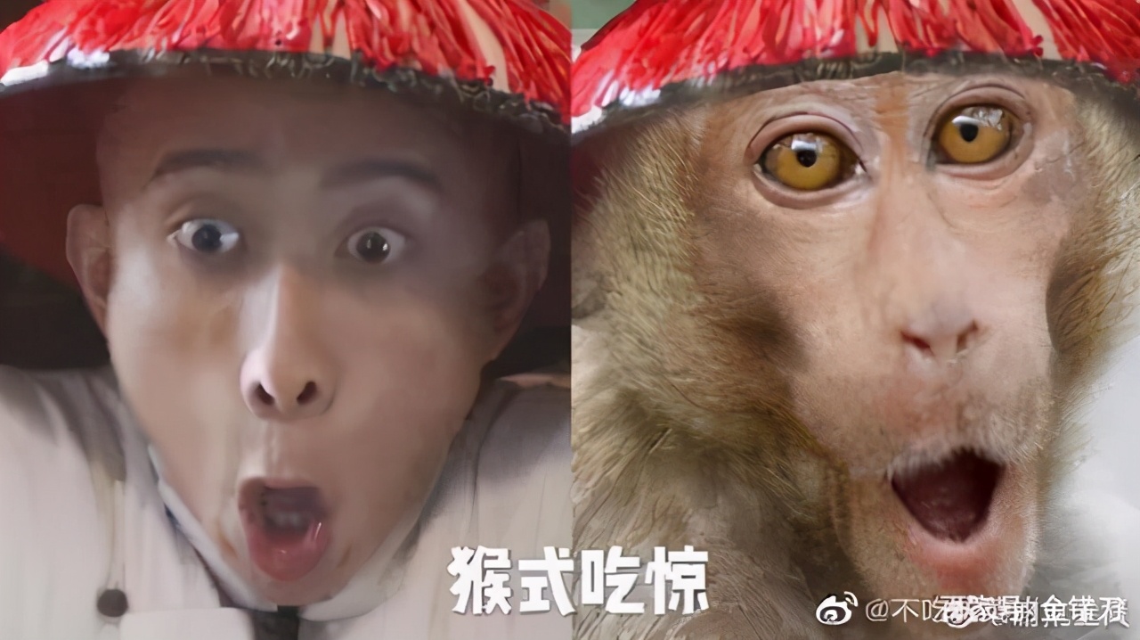 迎合观众到底好不好,迎合才是真理