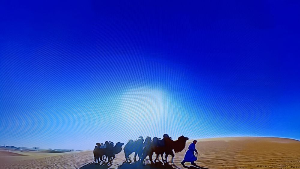 湿气重会导致肥胖吗中医疗法,湿气重导致肥胖的原因