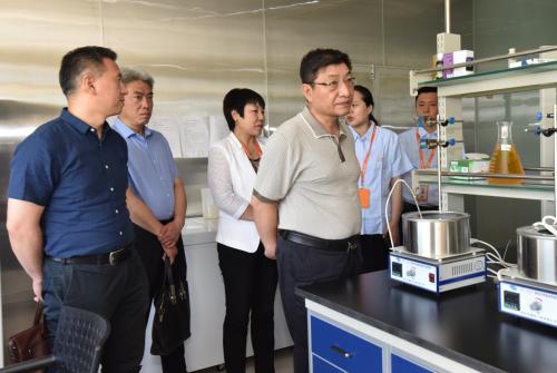 康比特实验室,康比特乳清蛋白粉质检报告