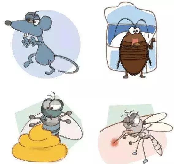 关好门窗!今天起上饶这些区域集中消杀灭四害