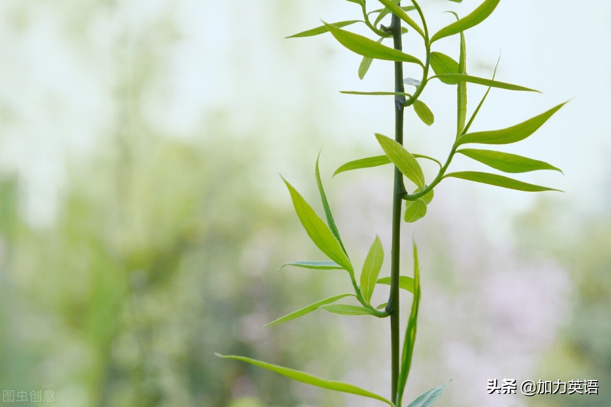 中考英语晨读美文100篇,中考英语阅读训练100篇69页