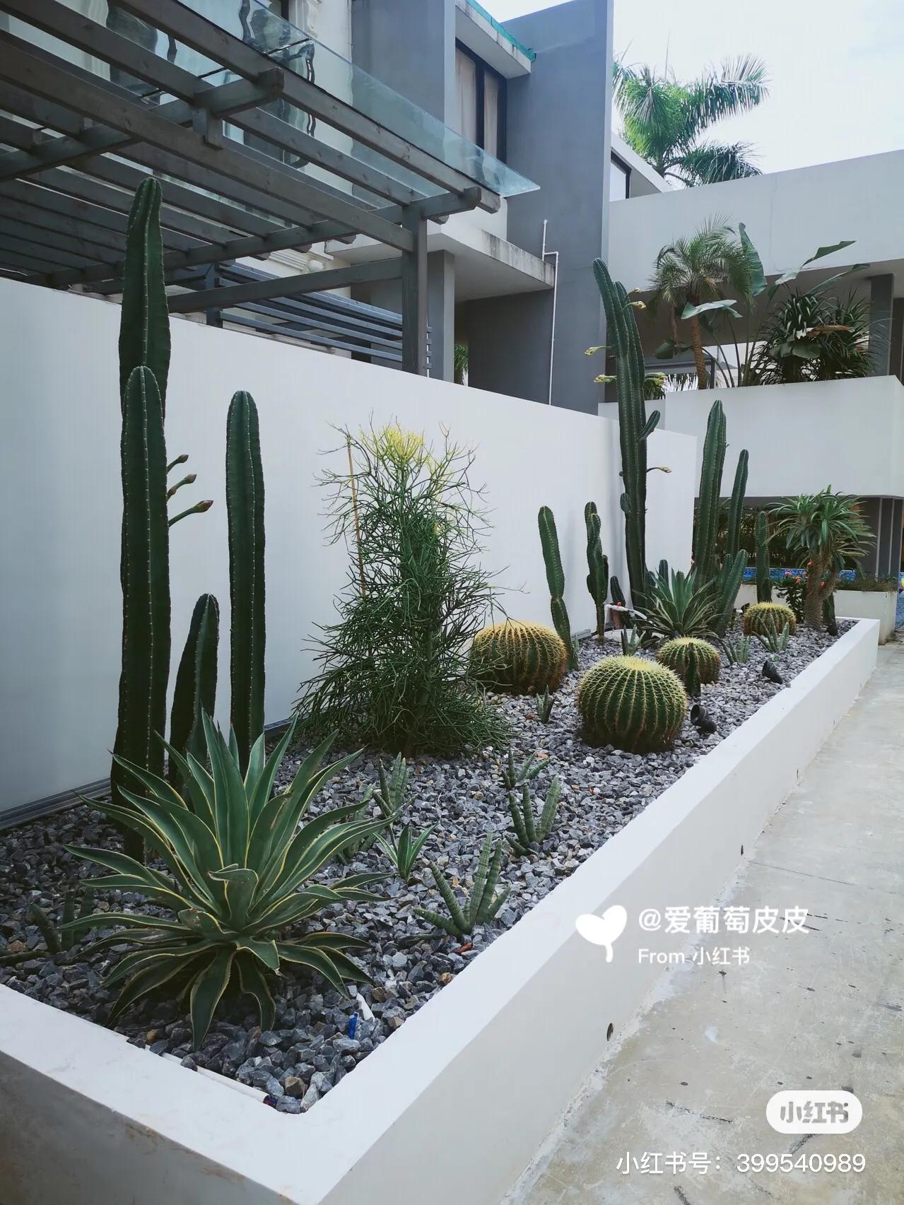 北海民宿推荐哪家,北海民宿推荐天气