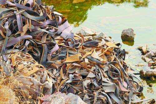 鑸屽皷涓婄殑瀹夊叏姘磋В铔嬬櫧 (鐗涘ザ涓殑鐨潻姘磋В铔嬬櫧)