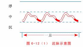 迟脉的脉象和主病大全,缓脉和涩脉有什么症状