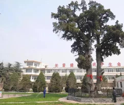 再见了，骨科医院！你好，临沂第十二中学！