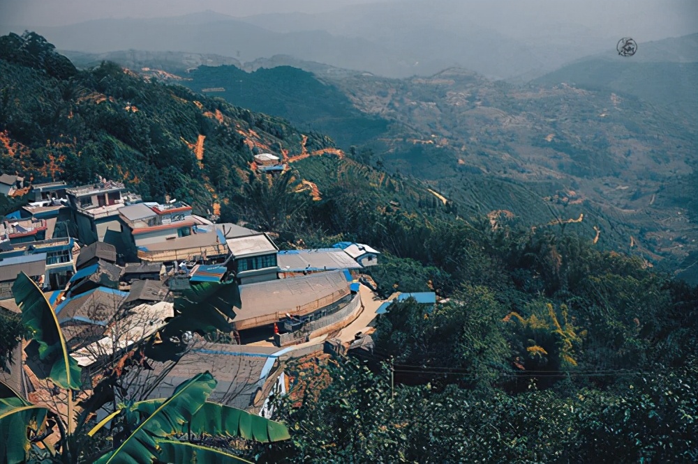 临沧茶区十大代表古树茶,临沧茶区最有代表的茶