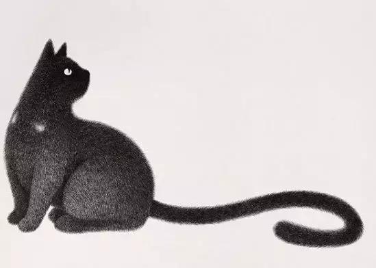 她用2元针管笔作画便惊艳了世界,他用粉笔画了一只猫