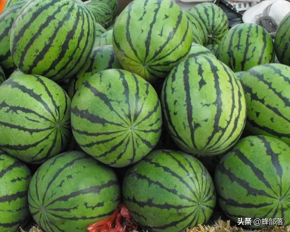 2021农村投资什么行业前景好,2019农村创业好项目投资小利润大