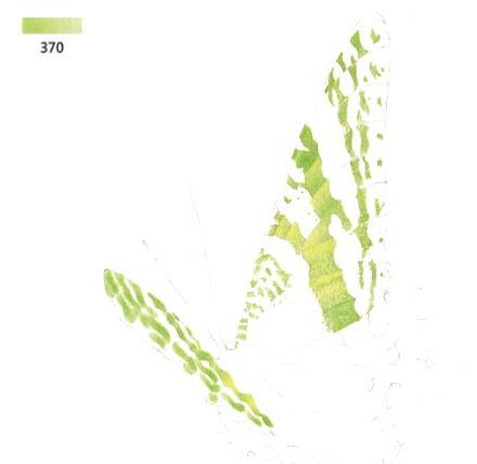 3d错觉画教程,3d错觉画作品