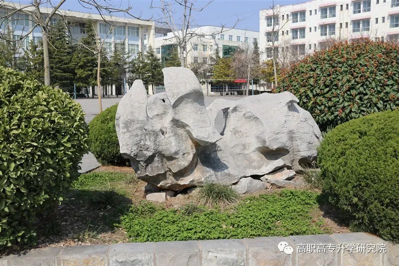 永城职业学院单招真题,永城职业学院五年一贯制录取