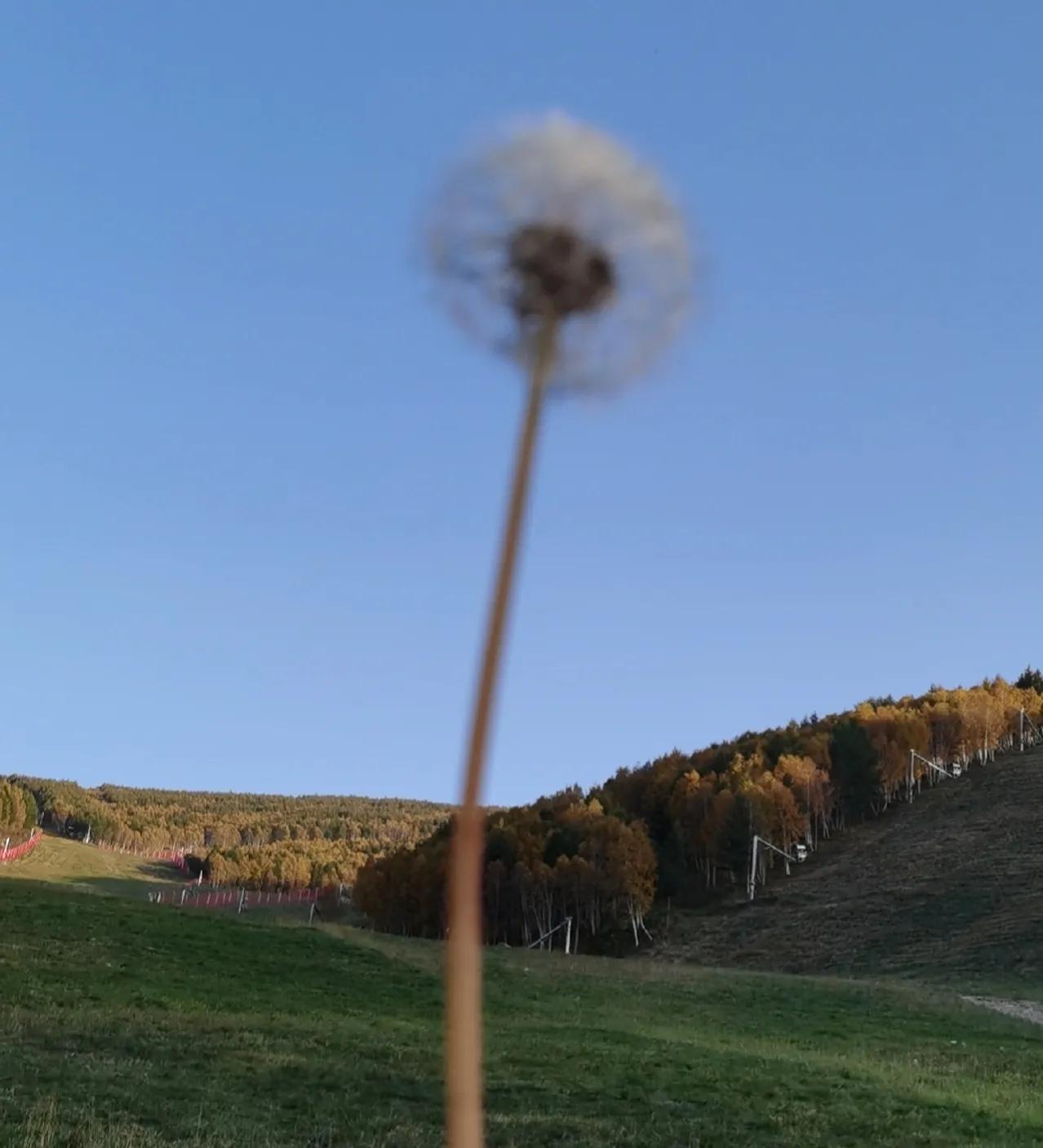 崇礼万龙滑雪场酒店,崇礼万龙滑雪场冬景