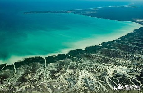 智识珍珠07|南洋白珠：珍珠界的“禁欲系”代表