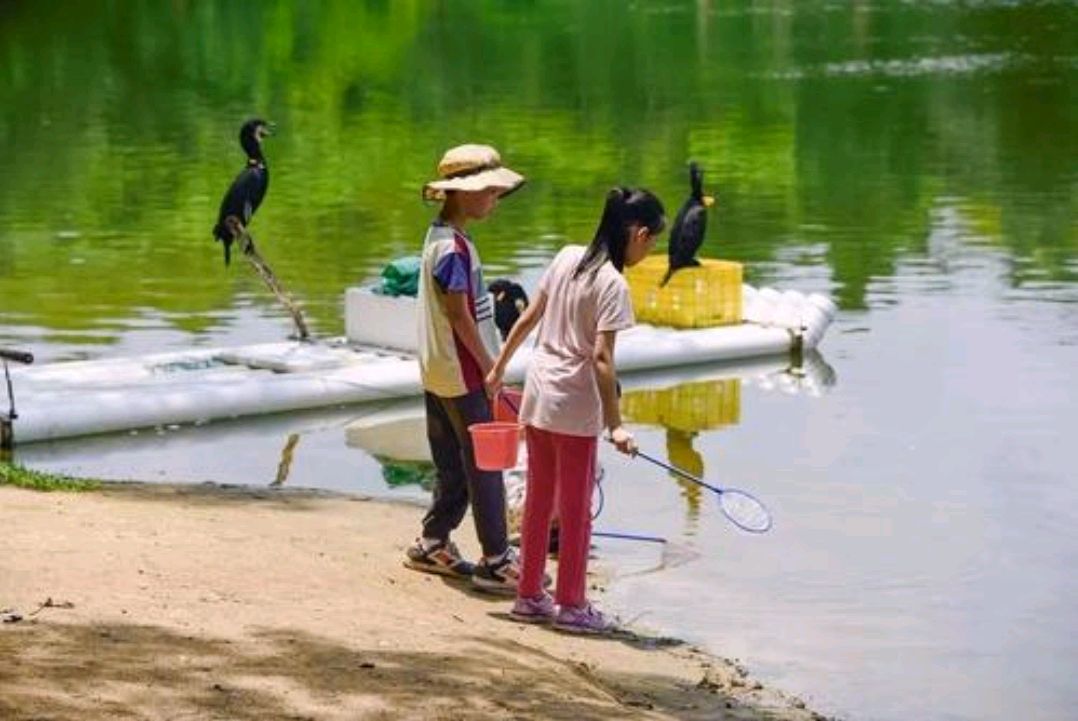 健康长寿的四种养生锻炼方式,三分钟养生法助你长寿