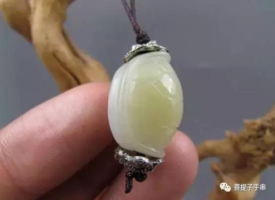 乌龟壳为什么叫富甲天下,小小龟壳富甲天下