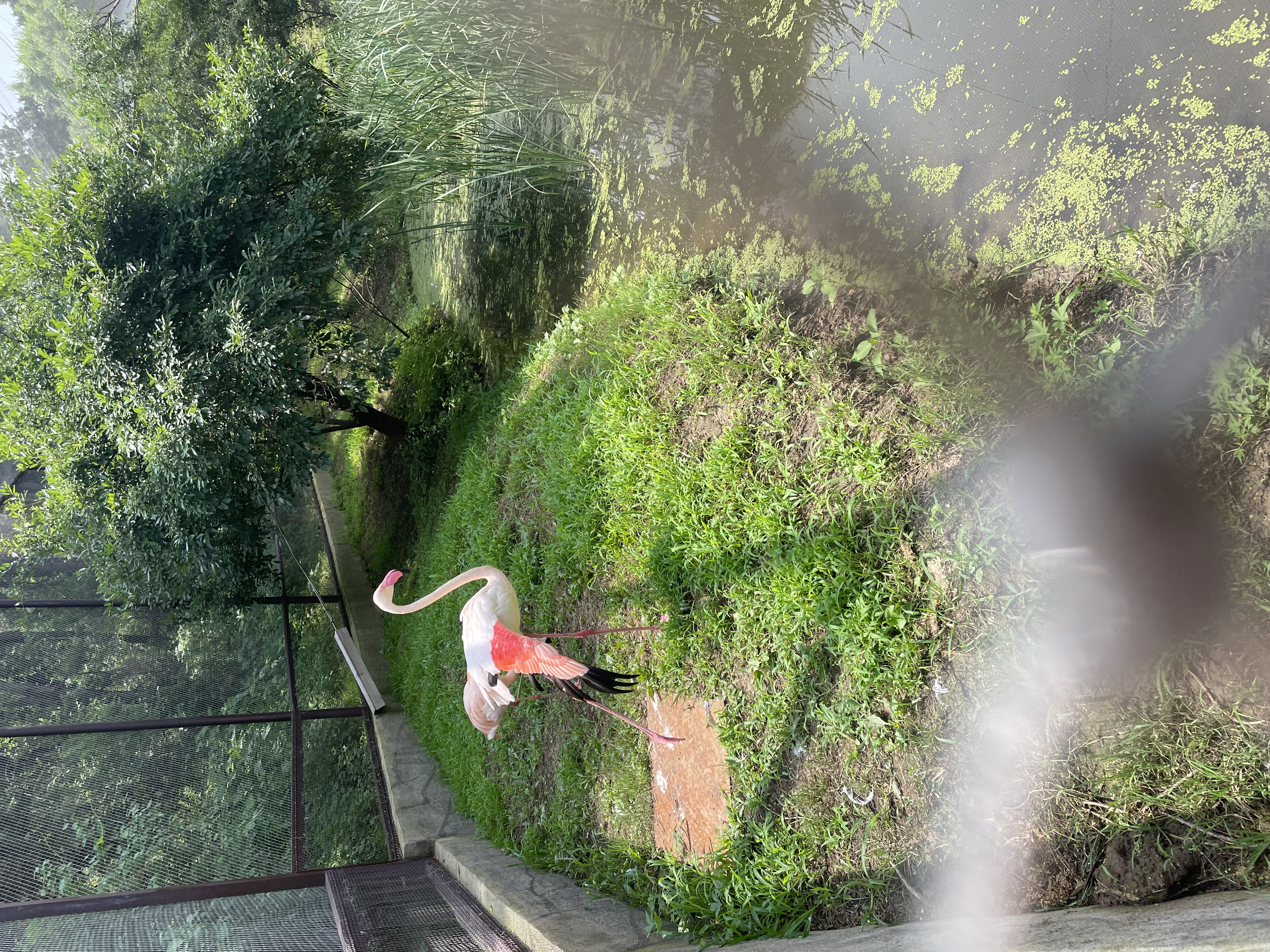 沈阳森林动物园春游,五一小长假去沈阳森林动物园游玩