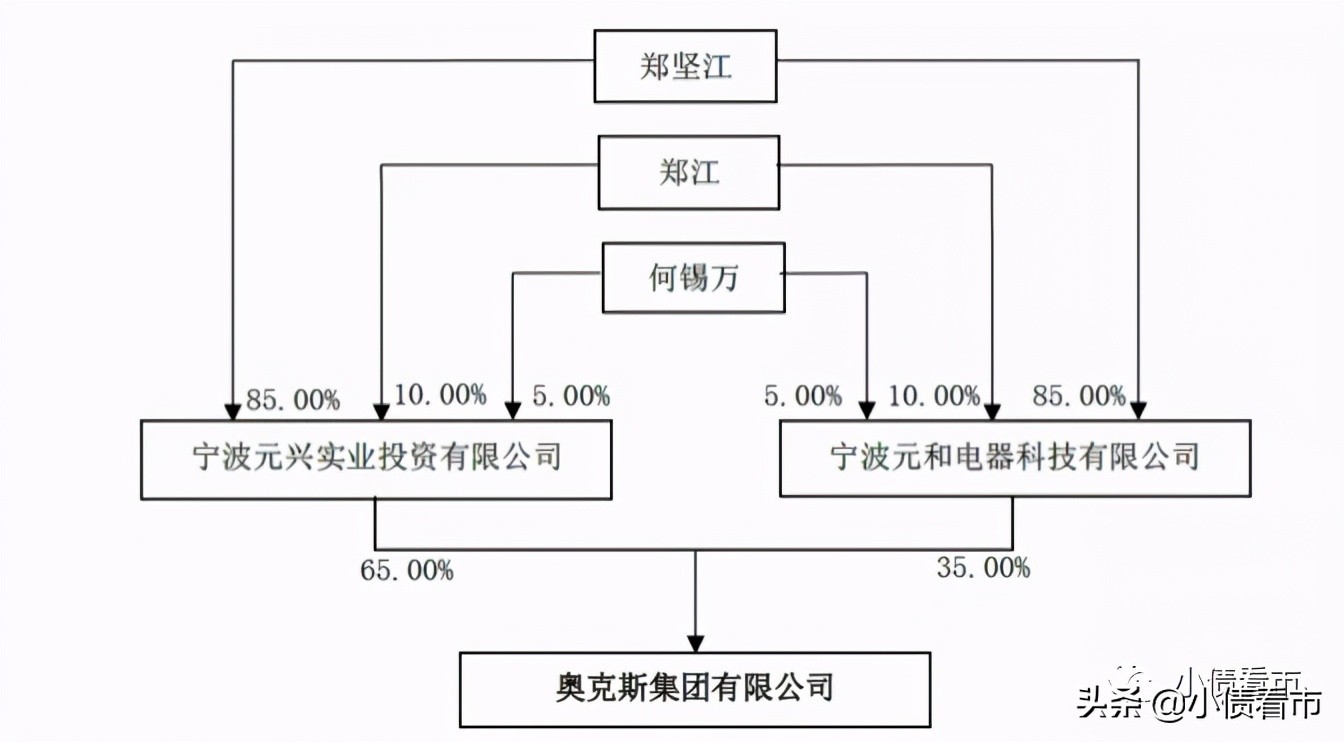 奥克斯负债多少,奥克斯集团利润