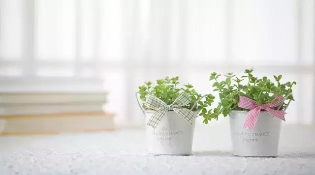 文学常识汇总app,文学常识汇总公务员考试